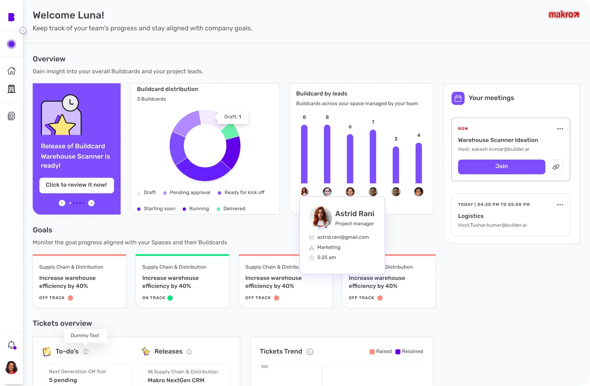 Team lead home: Buildcard distribution, Buildcards by lead, meetings, goals and tickets